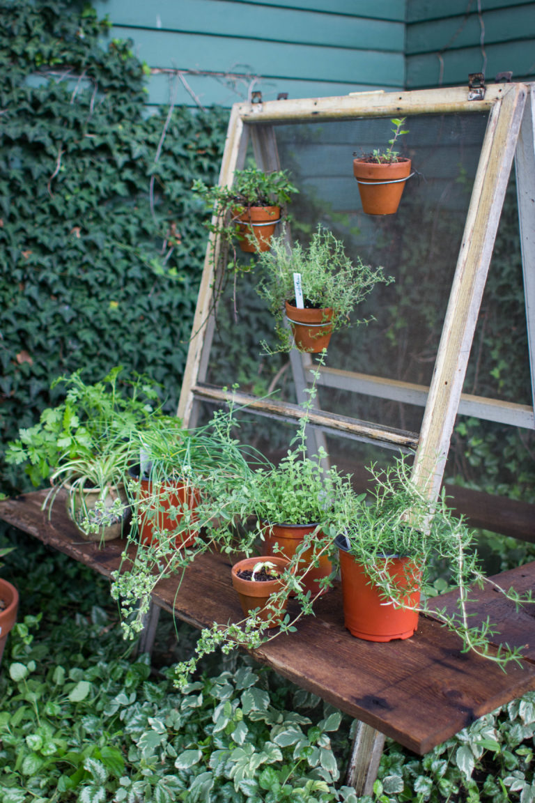 Creative ideas to transform an old window into a hanging herb garden