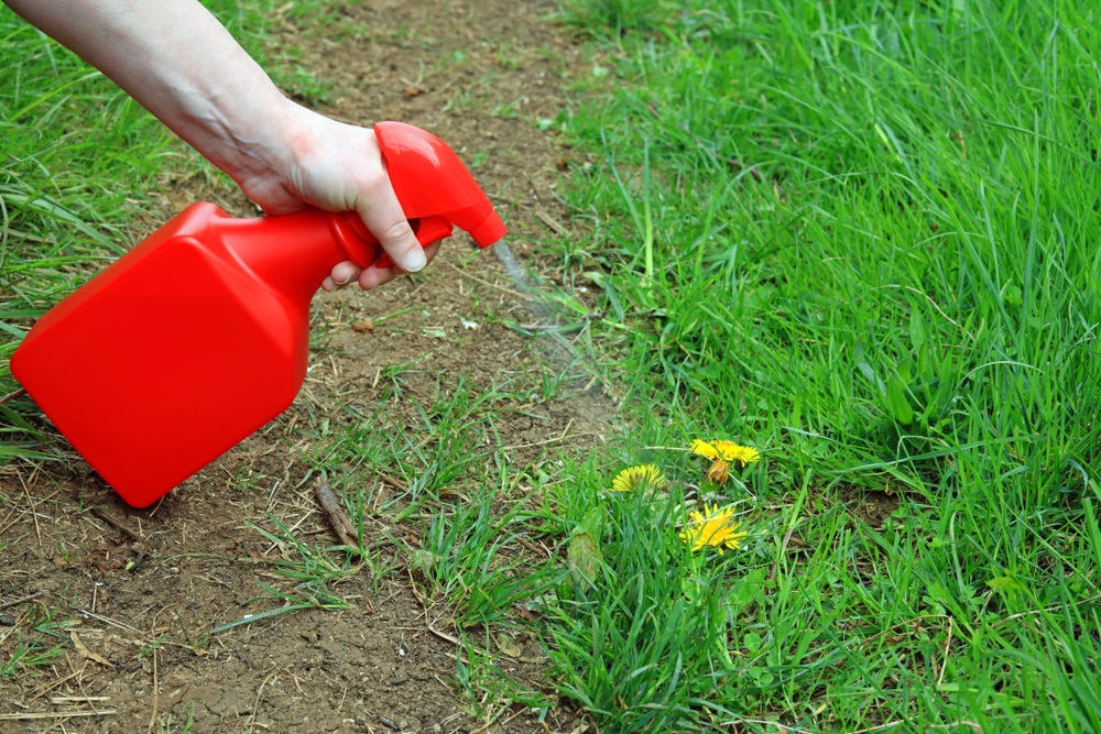 You really can make effective weed killing recipes at home