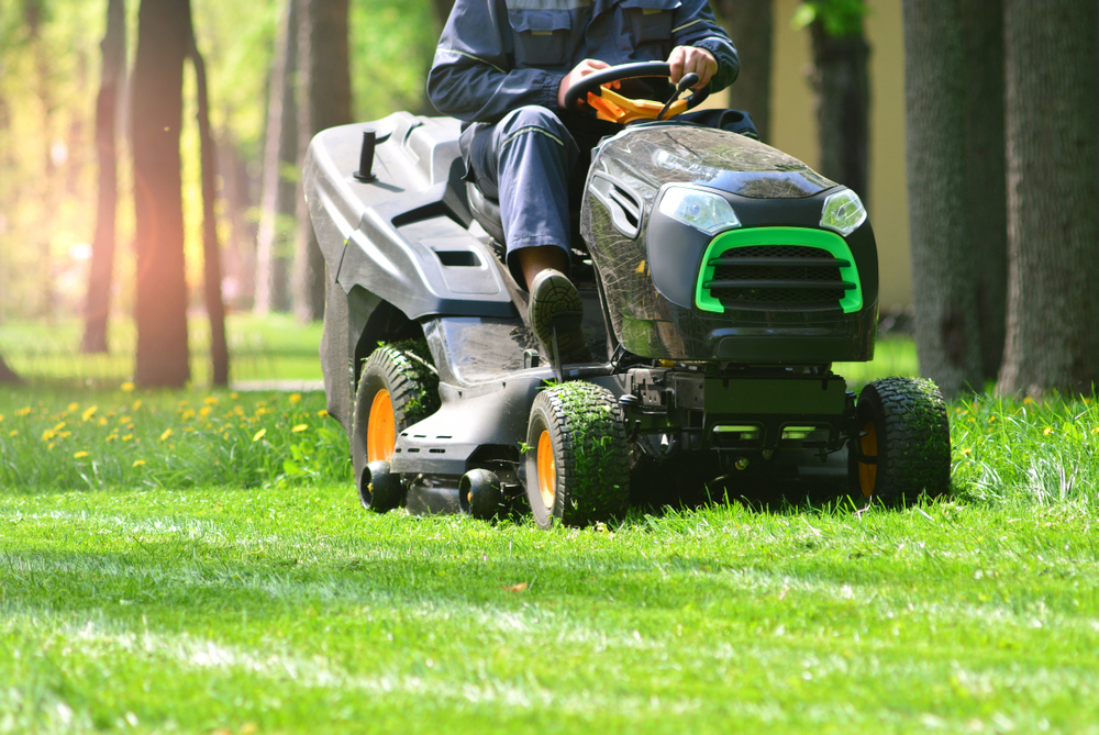 The Anti-Lawn Movement