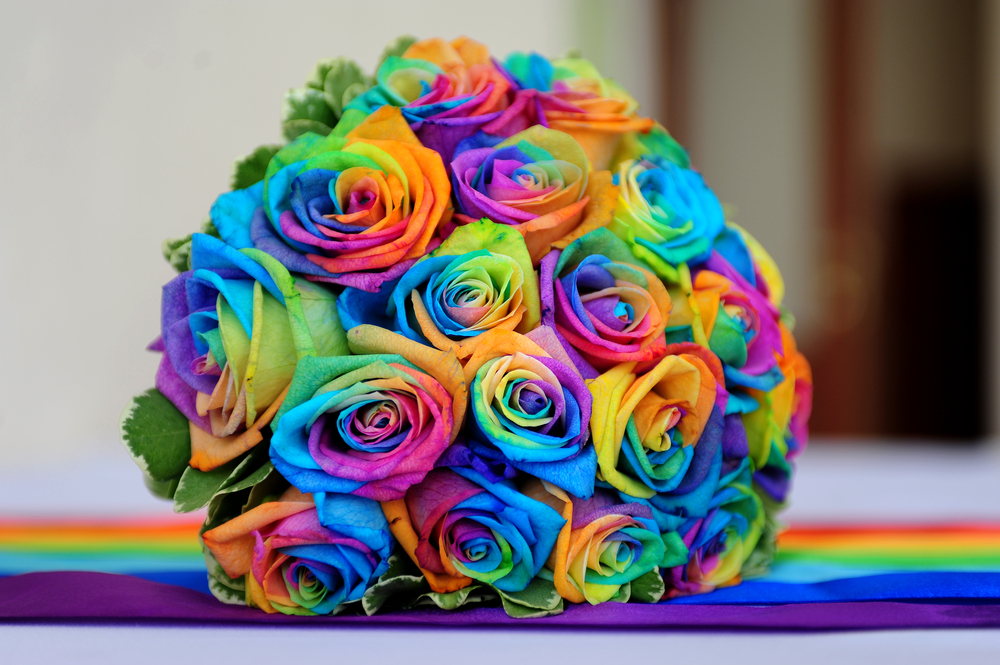 Making rainbow roses at home