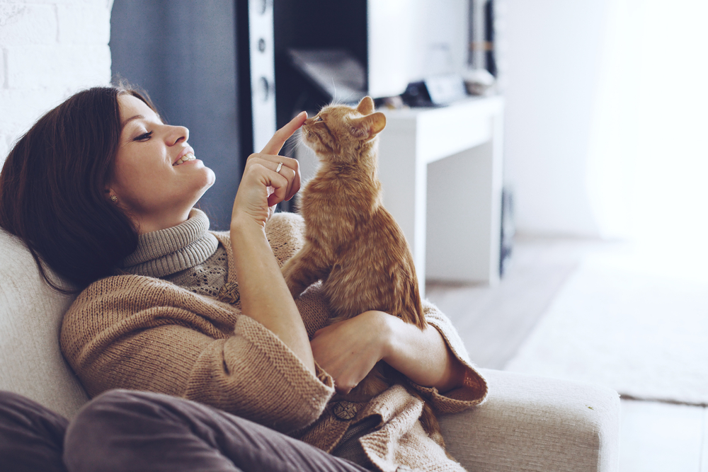 Study finds that cats really are attached to their people