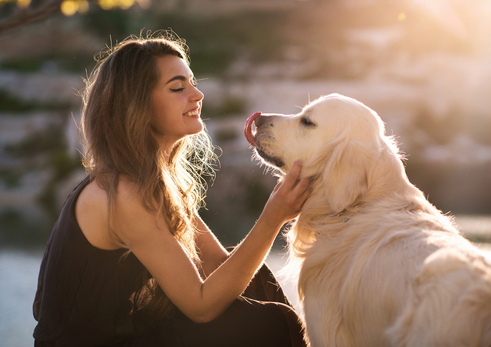 The best reasons to own a pet