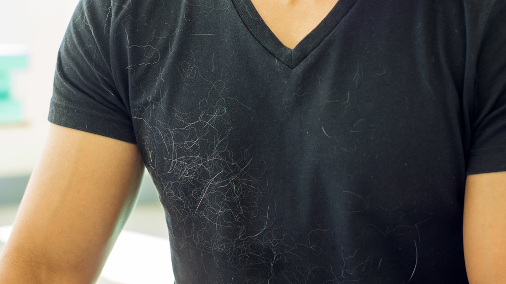 Easy tricks to remove pet hair from your clothes