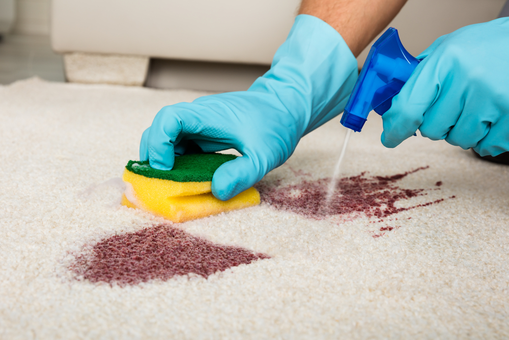 Useful carpet stain removal tricks that everyone should know