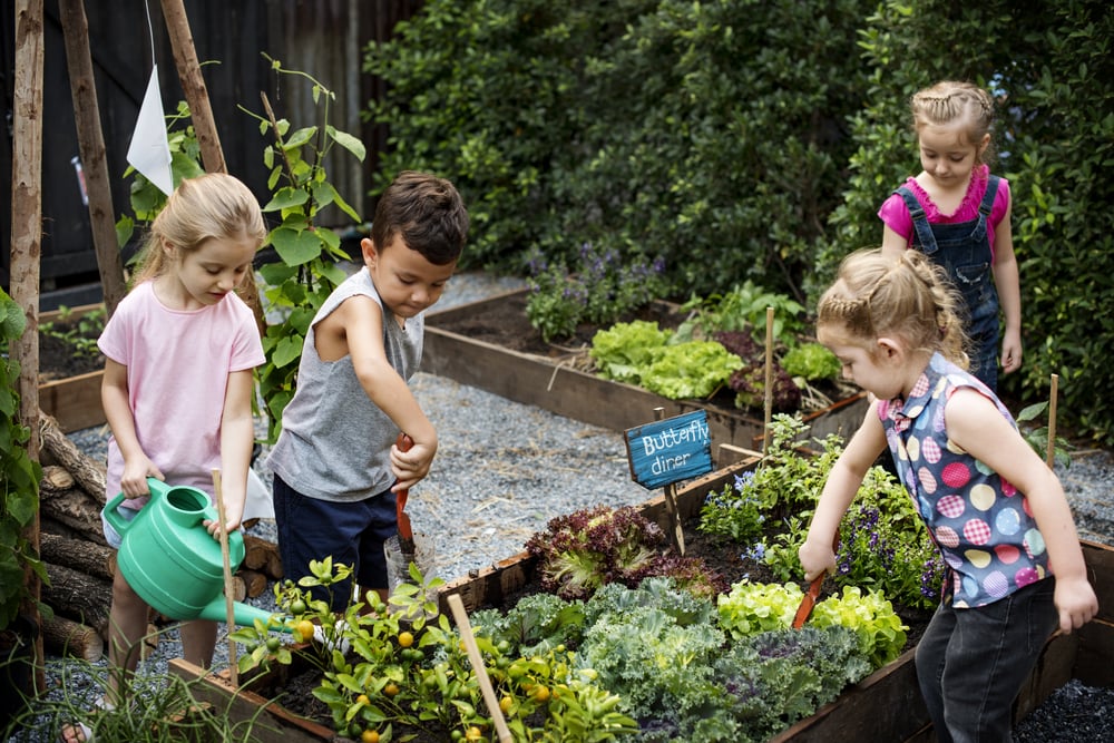 Fighting child obesity through gardening at school