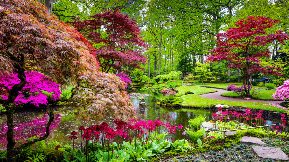 Components of a zen garden