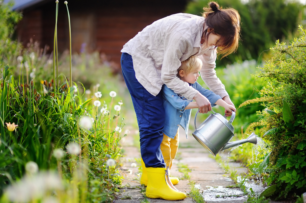 When should I water my plants in the summer?
