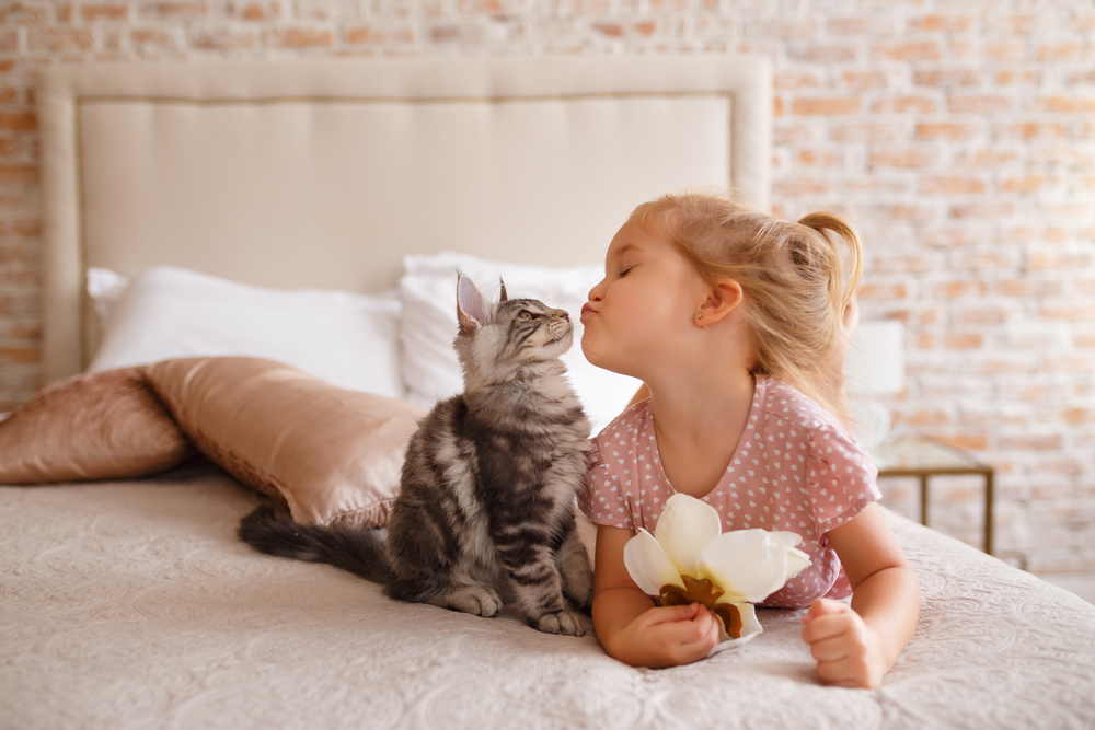 Cat love