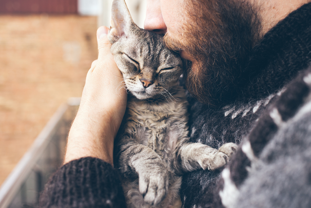 Why do people own pets?